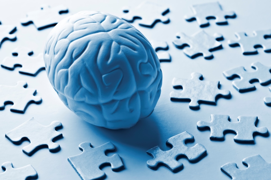 &apos;Surgery Needs to Preserve Brain Tumour Patients&apos; Speech in Native Language’