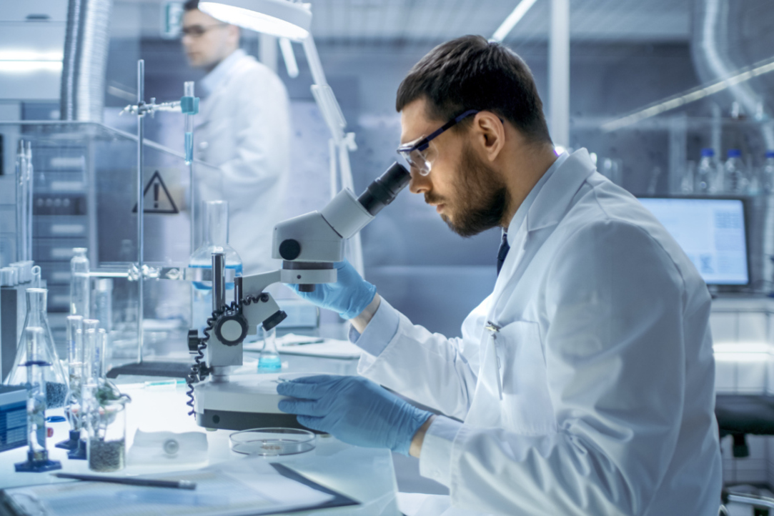 Scientists Have Developed a Model of Malignant Prostate Tumour and Used It to Test Drug Efficacy Illustration for news: Scientists Have Developed a Model of Malignant Prostate Tumour and Used It to Test Drug Efficacy