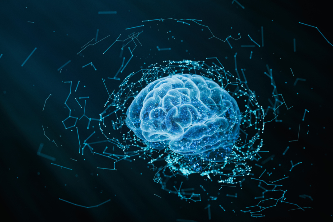 The Brain Is a Network of Networks. Scientists Have Found a Way to Unravel Them Illustration for news: The Brain Is a Network of Networks. Scientists Have Found a Way to Unravel Them