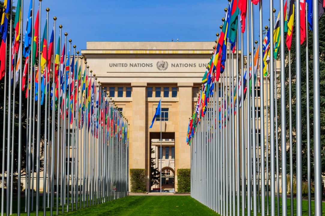 Director of the HSE International Research and Educational Foresight Centre Participates in UN Commission Meeting in Geneva Illustration for news: Director of the HSE International Research and Educational Foresight Centre Participates in UN Commission Meeting in Geneva